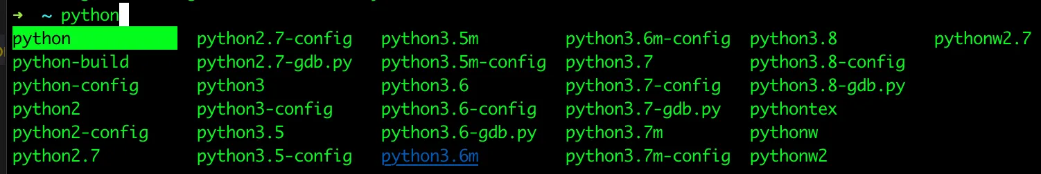 Multiple Python versions