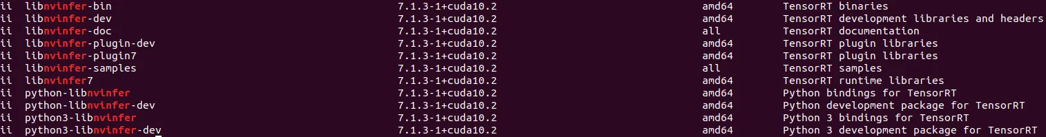 Check TensorRT packages